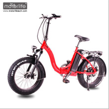 48V1000W Morden conception 20inch prix bas vélo électrique, pliant ebike, gros vélo électrique de pneu